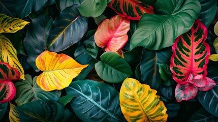 Wall Mural - Neon vivid summer jungle leaves banner wallpaper background
