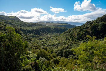 Canvas Print - Waitoharuru Valley in Rotorua - New Zealand