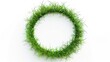 © AkuAku - Circular Grass Frame on White Background Ideal for Eco Friendly Design Themes