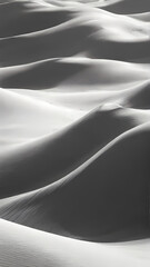 Wall Mural - black and white sand
