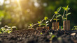 © Pro Hi-Res - Young plants growing on stacks of coins in sunlight.