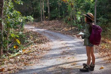 Little girl adventures in the forest, hiking in the mountains on the forest road, holding map in hands, adventure lifestyle outdoor concept