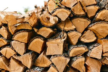 rustic pile of firewood contrasting against lush forest backdrop, perfect for a cozy cabin setting