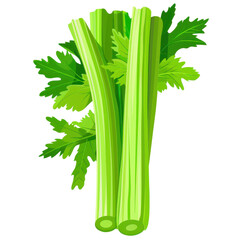 Wall Mural - green celery clipart