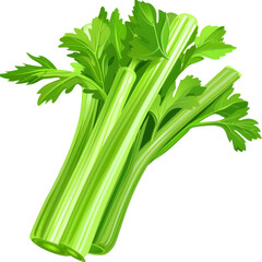 Wall Mural - green celery clipart