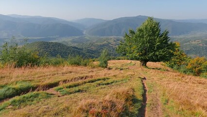 Sticker - Spectacular autumn scene of old country road to Kolochava village. Aerial morning scene of Carpathian mountains, Ukraine, Europe. 4K video (Ultra High Definition).