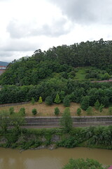 Sticker - Vegetation in an urban park