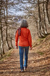 © h368k742 - Woman walking in the woods. Healthy lifestyle. Natural environment