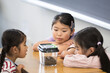 © kapinon - Elementary school students keeping beetles and insects in the classroom Science observation and free summer research