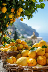 Wall Mural - Bunches of fresh yellow ripe lemons