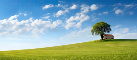 Canvas Print - A picturesque meadow with a solitary tree and a charming chapel stands against a backdrop of a serene cloudless blue sky in this copy space image