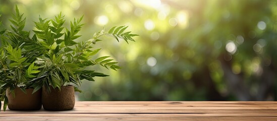 Poster - There is a copy space image of a wooden table or wood floor which is set against a background of foliage bokeh specifically designed for creating product displays
