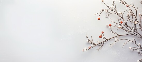 Fototapete - Christmas card featuring a festive branch from a Christmas tree placed on a white wooden background with a card attached Ideal copy space image