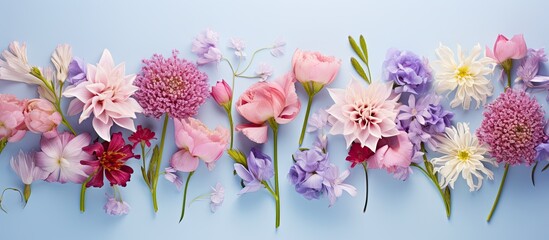 Poster - A beautiful arrangement of pink and purple flowers captured from a top down perspective is displayed on a pastel blue background in this copy space image