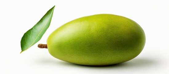 Canvas Print - A single raw green mango with its stem is captured in a close up view The mango symbolizing natural tropical food is isolated on a white background This image is perfect for food related concepts wit
