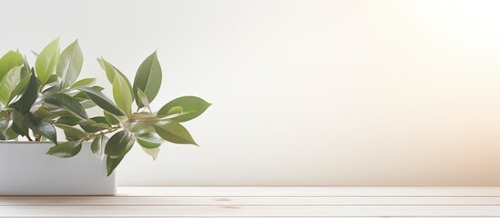 Poster - An editing friendly background for product display featuring a white wooden surface with blurred leaves Perfect for a clean and versatile copy space image