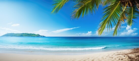 Aufkleber - A scenic tropical beach with sandy shores crystal clear ocean waters lush palm leaves and a vibrant blue sky provides a picturesque copy space image