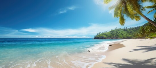 Aufkleber - A scenic tropical beach with sandy shores crystal clear ocean waters lush palm leaves and a vibrant blue sky provides a picturesque copy space image
