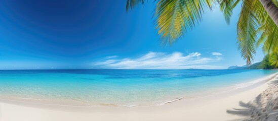 Aufkleber - A scenic tropical beach with sandy shores crystal clear ocean waters lush palm leaves and a vibrant blue sky provides a picturesque copy space image
