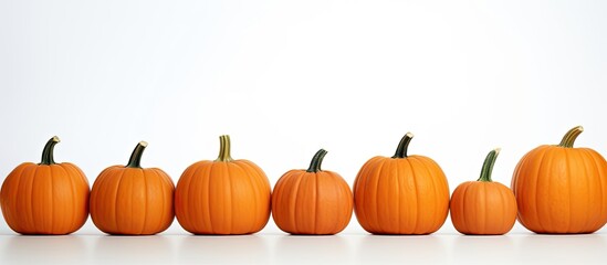 Poster - Copy space image of numerous orange pumpkins arranged in a neat formation creating a frame against a crisp white backdrop Evoking the essence of autumn harvest and festivities like Halloween or Thank