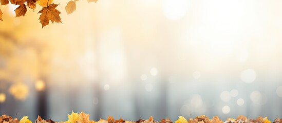 Poster - A captivating autumn background with a blurred bokeh effect showcases a scenic landscape filled with vibrant trees falling leaves and the vast sky The image features a stunning array of yellow autumn