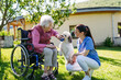 © Halfpoint - Female caregiver showing cute dog to senior woman in wheelchair. Nurse and elderly woman enjoying a warm day outdoors.