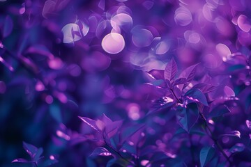 Wall Mural - Dreamy purple bokeh light with leaves creating an enchanting, magical background.