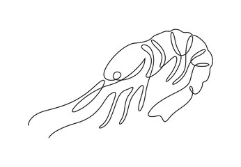 Wall Mural - Continuous one line drawing of shrimp. Isolated on white background vector illustration. Pro vector