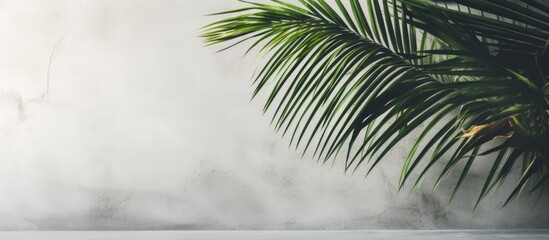 Poster - Soft shadows of tropical palm leaves on textured concrete background Summer travel concept Abstract minimal photo for advertising. Creative banner. Copyspace image