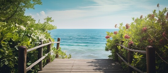 Poster - wooden bridge in the park to the ocean or sea. Creative banner. Copyspace image