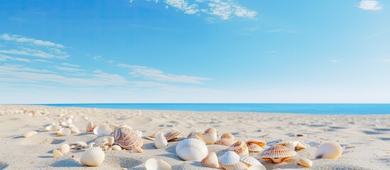 Leinwandbilder - shells on the beach in sand. Creative banner. Copyspace image