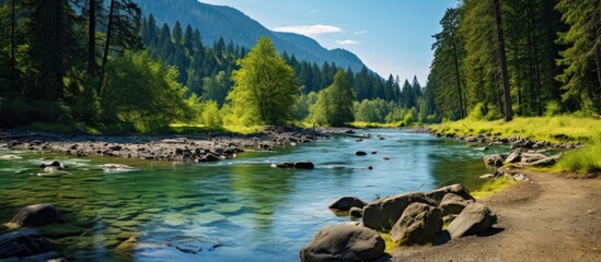 Poster - A river on a hiking path. Creative banner. Copyspace image