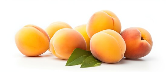 apricot isolated on white background. Creative banner. Copyspace image