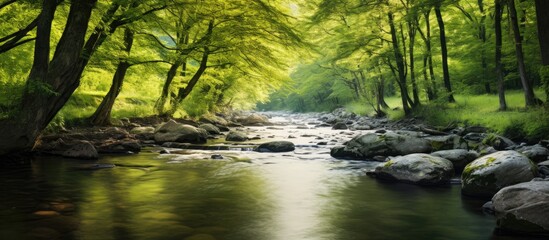 Poster - Gently flowing stream in the countryside. Creative banner. Copyspace image
