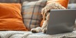 © Anastasiia - Golden doodle puppy using laptop paws on keyboard looking at screen. Concept Golden doodle puppy working on laptop with paws on keyboard, looking at screen