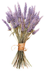 Canvas Print - PNG Lavender bouquet flower plant white background.