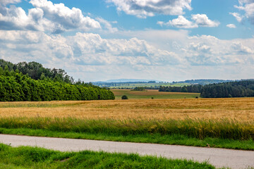 Wall Mural - Agricultural fields on a summer day.