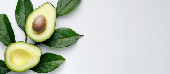 Avocado with avocado leaf on a white backdrop.