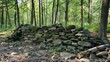 © AkuAku - Stone Barrier within the Forest The construction possesses historical significance