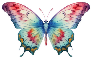 Poster - PNG Butterfly animal insect moth.