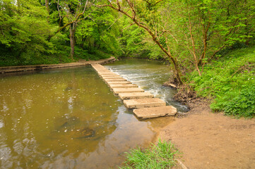 Wall Mural - stepping stones across river blyth in humford woods, in bedlington country park, northumberland whic