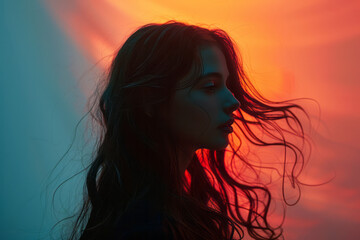 Poster - Silhouette of a woman with long flowing hair against a minimalist pastel background,
