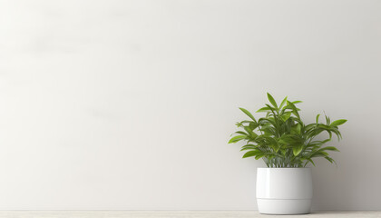 Wall Mural - A small potted plant sits on a wooden table