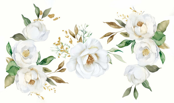 Watercolor White Flowers, set of floral illustration bouquet, white rose, peony, green and gold leaf branches collection