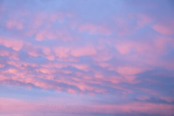 Wall Mural - sunset sky with mammatus clouds light pastel colors pink blue and purple
