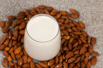 Wall Mural - Almond nut milk in a glass on a gray background.