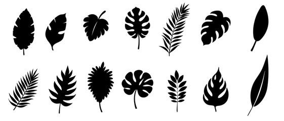 collection of black silhouettes of tropical leaves isolated on a white background