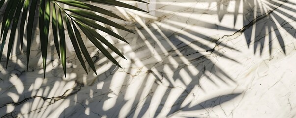 Wall Mural - Palm leaf shadows on white marble background, abstract natural pattern. Tropical theme and texture concept