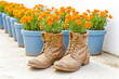 © Rysak - Flowers Planted in Boots