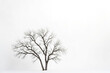 © Rysak - Bare Branches in a Snowy Landscape